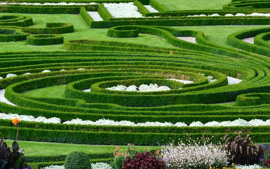 Curving low hedges in a formal garden