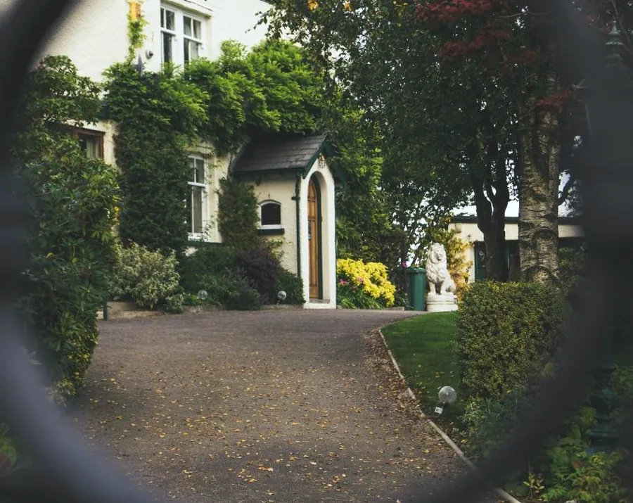 A driveway lined with hedges and shrubs