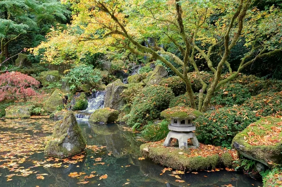 A Japanese-style garden with a small pond