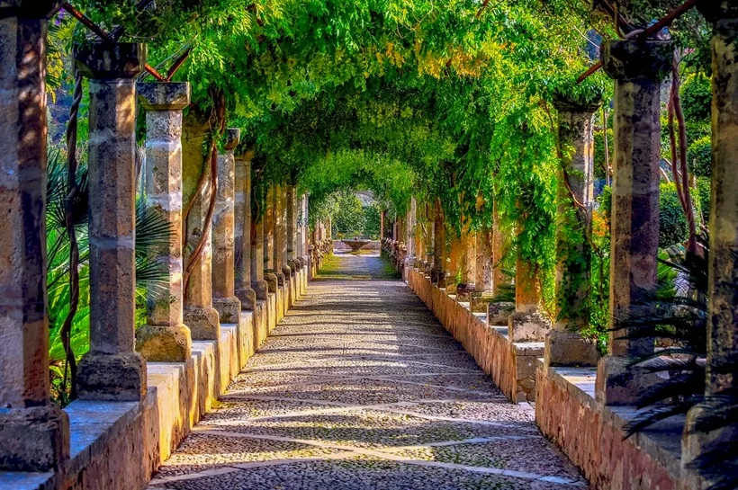 A long pergola walk covered in greenery