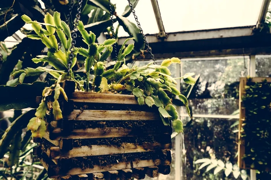 A vertical planter filled with trailing plants