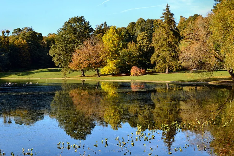 A landscaped garden with lawn, trees and a lake
